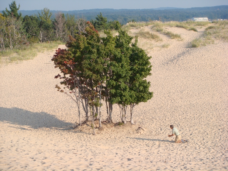 Western Michigan [2009] 061.JPG - Scenes from Silver Lake State Park, Michigan.